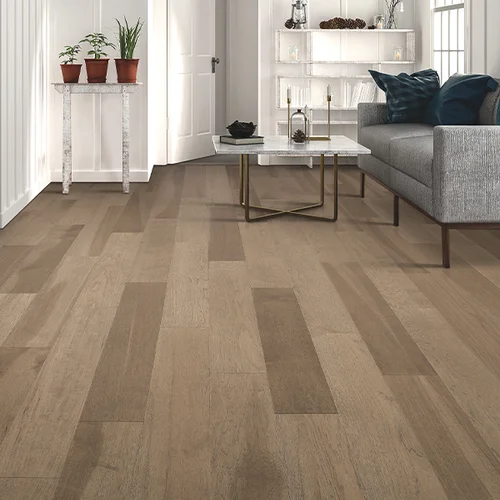 Christie Carpets providing pet-friendly waterproof vinyl flooring in Rochester, NY