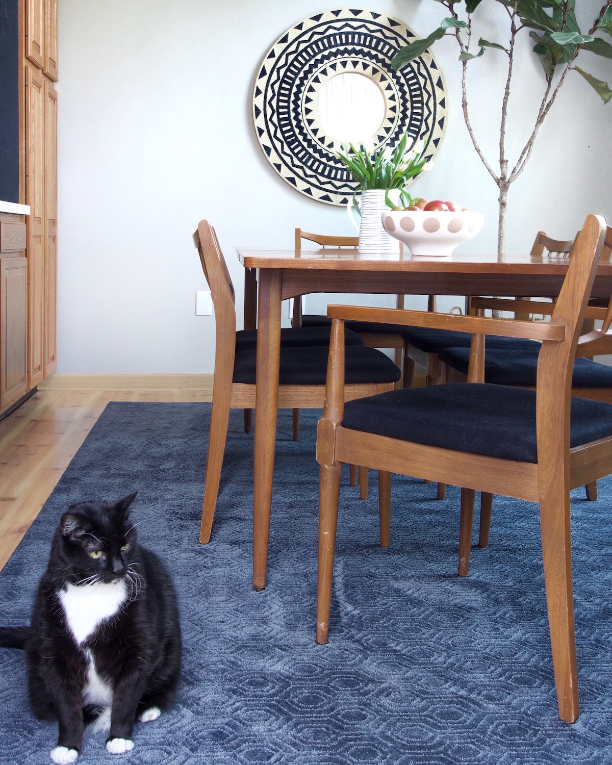 cat on rug