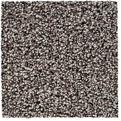 SmartStrand ColorMax Carpet in Flannel