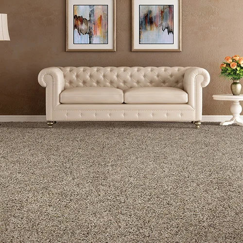 Christie Carpets providing easy stain-resistant pet friendly carpet in Rochester, NY
