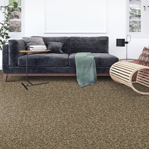 Carpet trends in Rochester, NY from Christie Carpets Flooring & Blinds